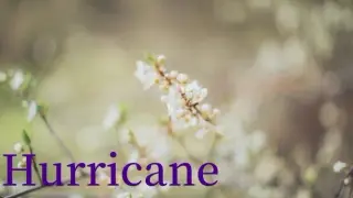 Hurricane
