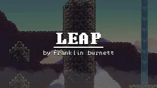 Leap by Franklin Burnett