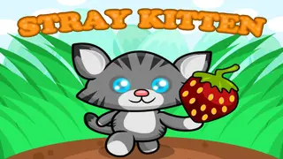 STRAY KITTEN