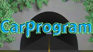 Carprogram