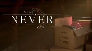 What Never Was