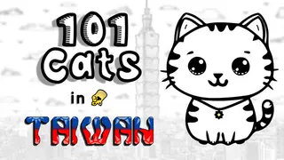 101 Cats in Taiwan