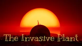 The Invasive Plant