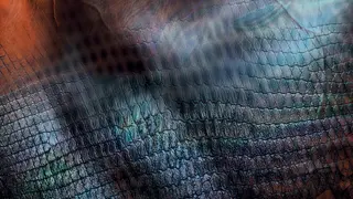 Turok 2: Seeds of Evil (Xbox One & Series)