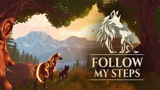 Follow My Steps