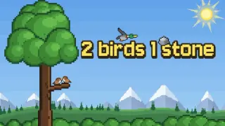 2 birds 1 stone