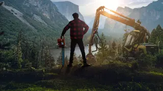 Lumberjack's Dynasty - PS4
