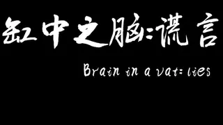 缸中之脑：谎言（Brain in a vat lies）