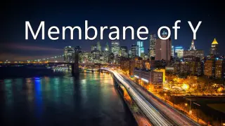Membrane of Y