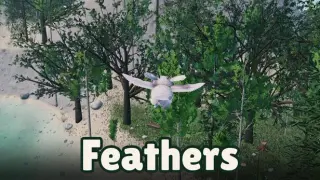 Feathers