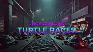 Underground Turtle Races