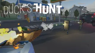 Duck's Hunt