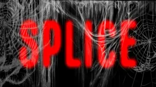 Splice
