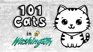 101 Cats: Washington