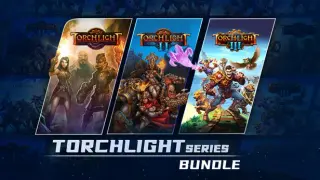 Torchlight Series