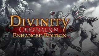 Divinity: Original Sin Enhanced Edition