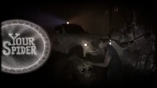 Your Spider