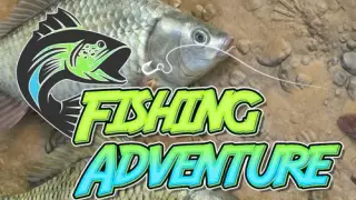 Fishing Adventure - Switch
