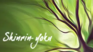 Shinrin-yoku: Forest Meditation and Relaxation