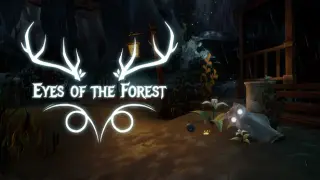 Eyes of the Forest