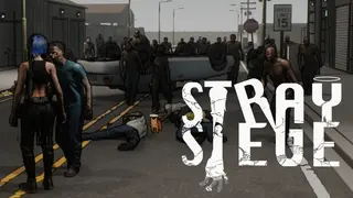 Stray Siege