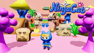 NinjaCat