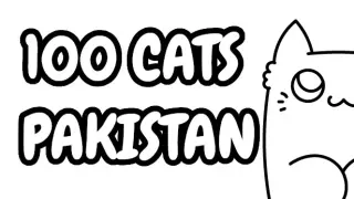 100 Cats Pakistan