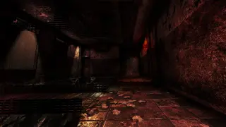 Organ Quarter - PS5