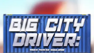 Big City Driver: Truck Parking Simulator - Switch