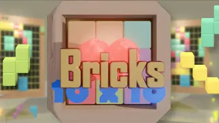 Bricks 10x10
