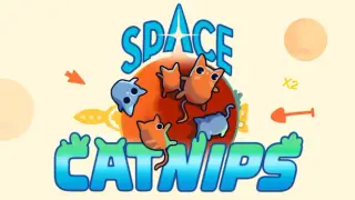 Space Catnips