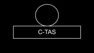 C-TAS: A Virtual Chinese Learning Game