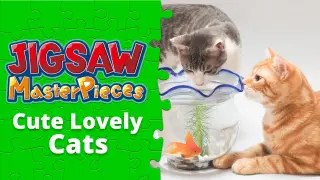 Cute Lovely Cats - Switch