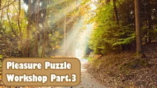 Pleasure Puzzle:Workshop - Part 3