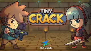 TinyCrack