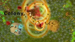 Colony