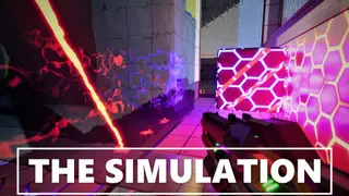 The Simulation
