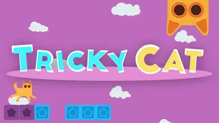 Tricky Cat