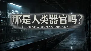 Is That a Human Organ?