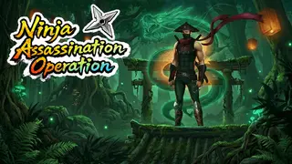 忍者刺杀行动