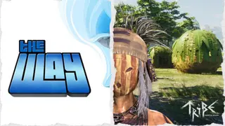 The Way and Tribe