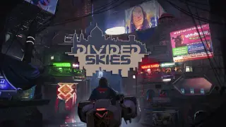 Divided Skies