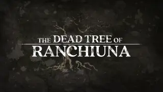 The Dead Tree of Ranchiuna