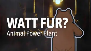 WATT FUR? Animal Power Plant
