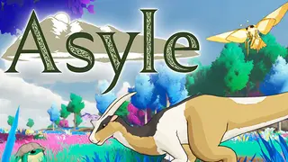Asyle