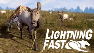 Lightning Fast