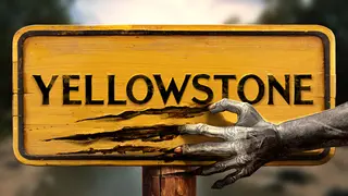 Yellowstone