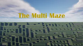 The Multi Maze