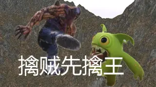 擒贼先擒王