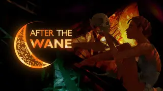After the Wane